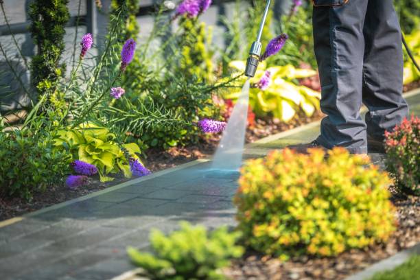 Best Fence Cleaning  in Selinsgrove, PA
